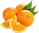 best-product-img1